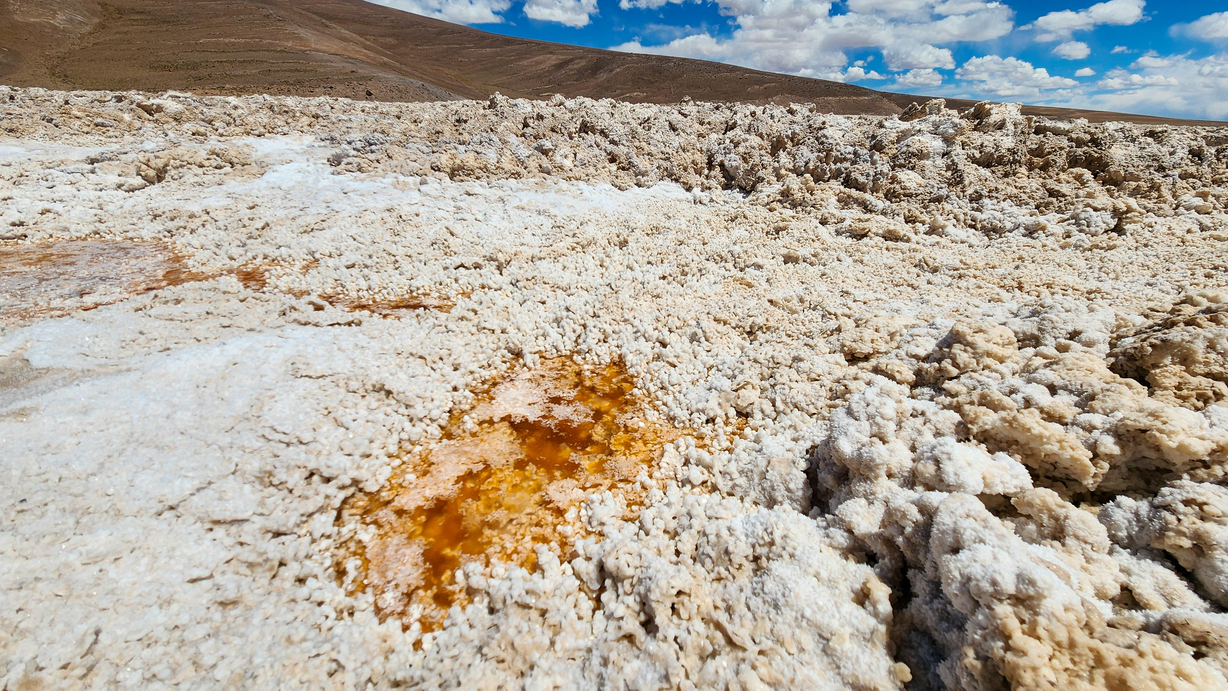 Tapetes microbianos y ambientes altoandinos del sistema Maricunga